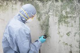 Best Forensic Mold Investigation  in Lexington, NE